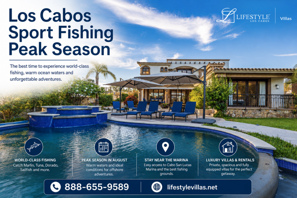Los Cabos Sport Fishing Season Best Months, Fish Species & Travel Guide