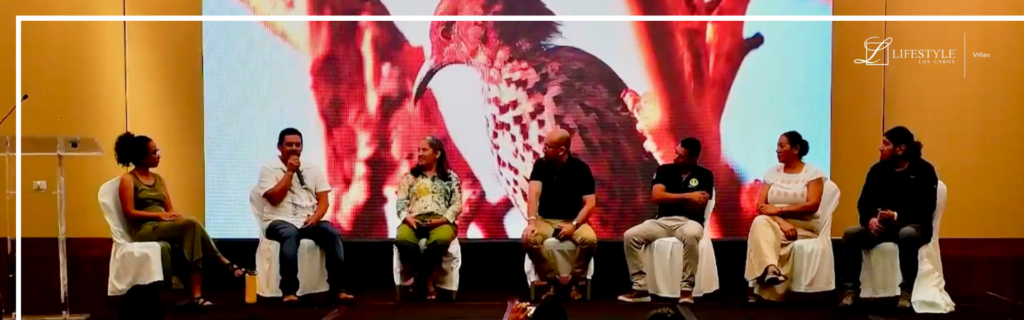 Birdwatching and bird conservation in Los Cabos during the International Bird Festival in Baja California Sur