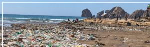 Los Cabos waste management